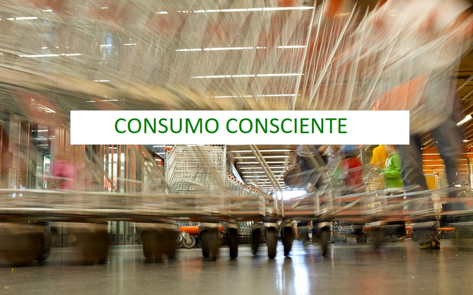 Consumo Consciente: Gaste com coisas que você goste e corte o restante