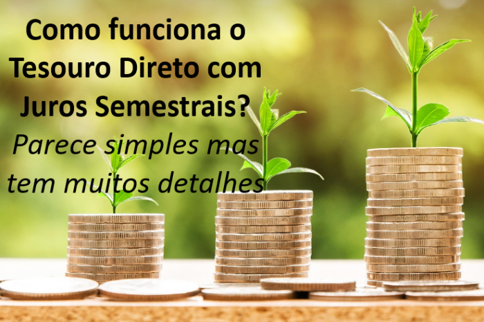 Como funciona o Tesouro Direto com Juros Semestrais