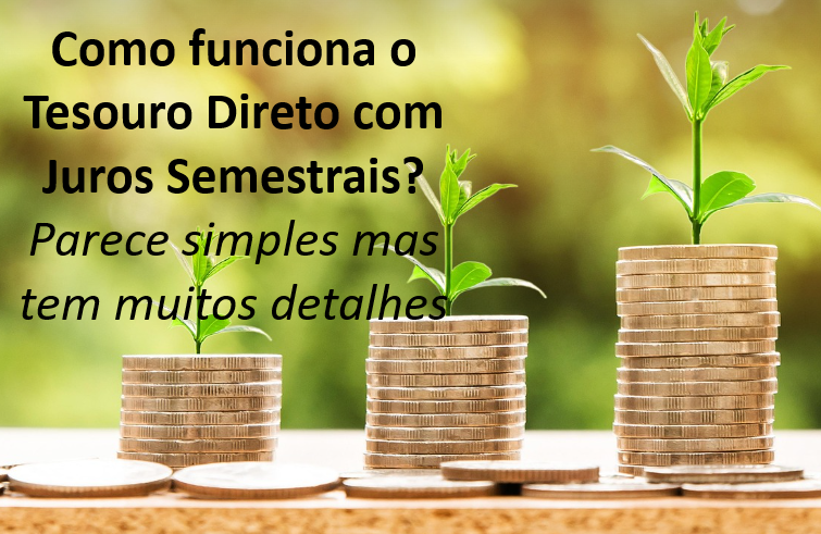 Como funciona o Tesouro Direto com Juros Semestrais